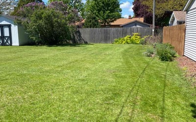 Photo of Erin H.'s yard after getting lawn care in Kenosha, WI