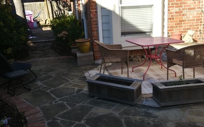 Photo of Savannah L.'s yard after getting tree care in Wilmington, DE