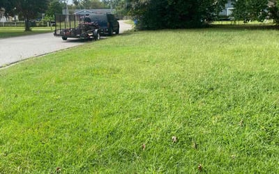 Photo of Richard P.'s yard after getting lawn care in Brooklyn, MD