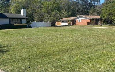 Photo of Yusri M.'s yard after getting lawn care in Denville, NJ