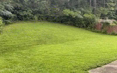 Photo of Gabriel V.'s yard after getting lawn care in Lithonia, GA