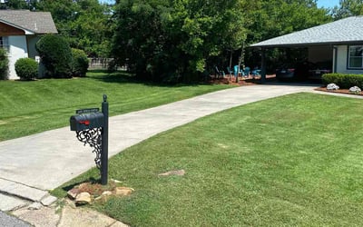 Photo of Cantrell B.'s yard after getting lawn care in Leeds, AL