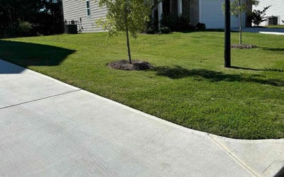 Photo of Matt E.'s yard after getting lawn care in Salem, MA