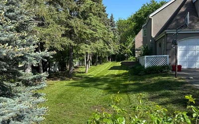 Photo of Maxine M.'s yard after getting lawn care in Hopkins, MN