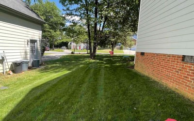 Photo of Renee L.'s yard after getting lawn care in Stanley, NC