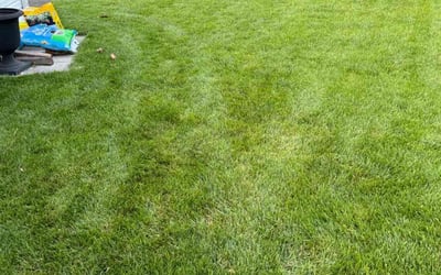 Photo of Steve C.'s yard after getting lawn care in Harleysville, PA