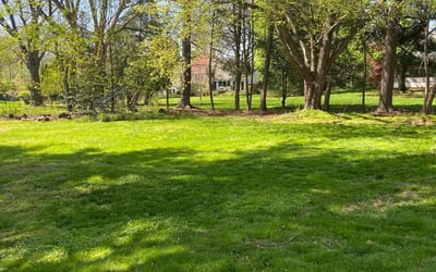 Photo of Irene S.'s yard after getting lawn care in Newtown, PA