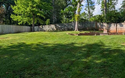 Photo of Sam A.'s yard after getting lawn care in Knoxville, TN