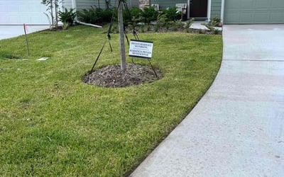 Photo of Charles L.'s yard after getting lawn care in Saint Johns, FL
