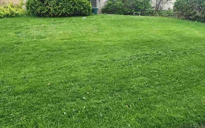 Photo of AJ M.'s yard after getting lawn care in Hanover Park, IL