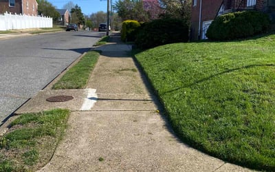 Photo of Raed F.'s yard after getting lawn care in Philadelphia, PA