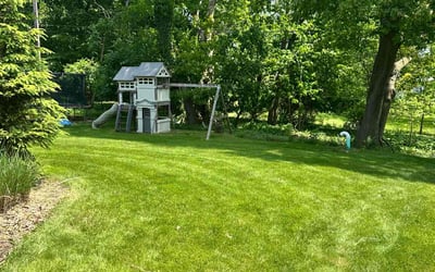 Photo of Gina R.'s yard after getting lawn care in Fenton, MO