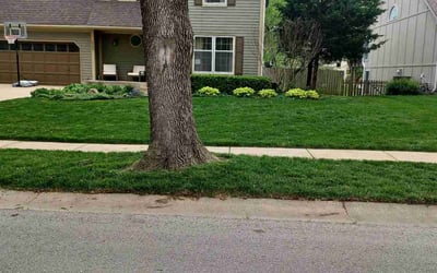 Photo of Maggie B.'s yard after getting lawn care in Shawnee, KS