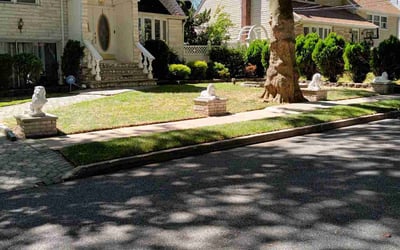 Photo of Lakeischa R.'s yard after getting lawn care in Seaford, DE