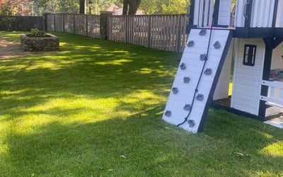 Photo of Berno S.'s yard after getting lawn care in Collierville, TN