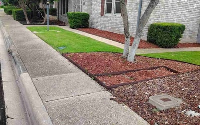 Photo of Jasmine N.'s yard after getting lawn care in Woodstock, GA
