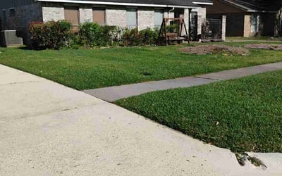 Photo of Ursula C.'s yard after getting lawn care in Dayton, TX