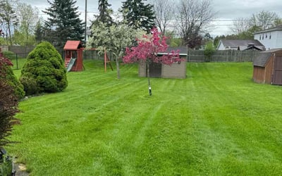 Photo of Shashi P.'s yard after getting lawn care in Depew, NY