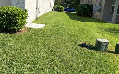Photo of Angela B.'s yard after getting lawn care in Huntington Station, NY