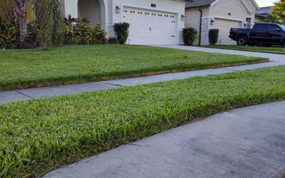 Photo of Anette R.'s yard after getting lawn care in Lake Placid, FL