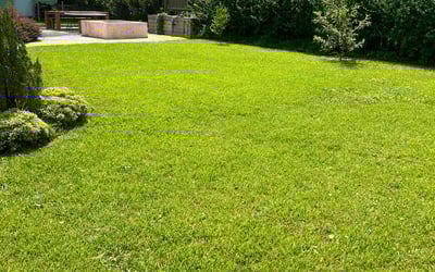 Photo of Daniel T.'s yard after getting lawn care in Rockville, MD