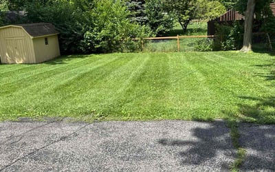 Photo of Philip R.'s yard after getting lawn care in Waynesboro, PA