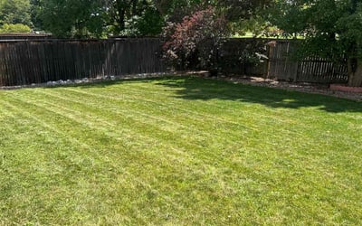 Photo of Kelly B.'s yard after getting lawn care in Broomfield, CO