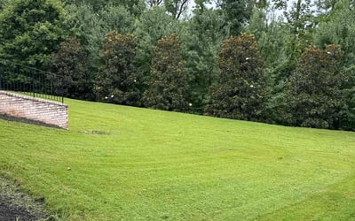Photo of Quincy Z.'s yard after getting lawn care in Duluth, GA