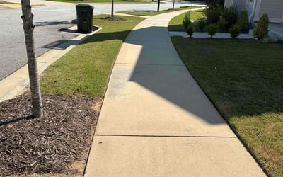 Photo of Earl C.'s yard after getting lawn care in Conyers, GA