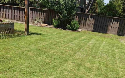 Photo of David Y.'s yard after getting lawn care in Southlake, TX