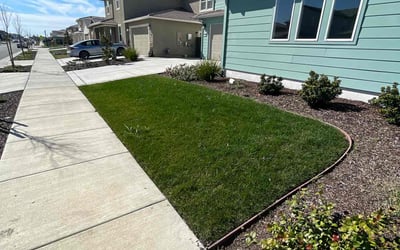 Photo of Paula S.'s yard after getting lawn care in Sacramento, CA