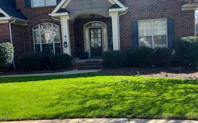 Photo of Michelle D.'s yard after getting lawn care in Cambridge, MA