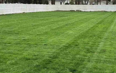 Photo of Tiffini B.'s yard after getting lawn care in Stow, OH