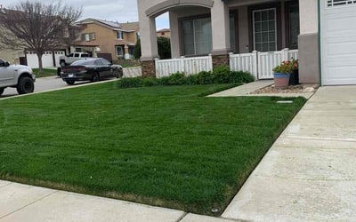 Photo of Bill S.'s yard after getting lawn care in Fontana, CA