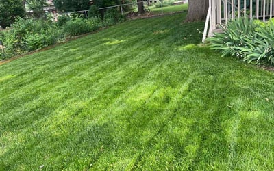 Photo of Sami M.'s yard after getting lawn care in Iowa City, IA