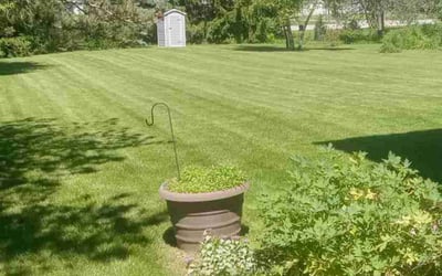 Photo of Judy Y.'s yard after getting lawn care in Oak Creek, WI