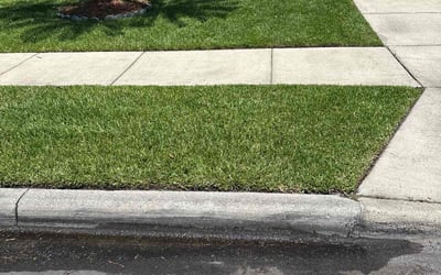 Photo of Jennifer F.'s yard after getting lawn care in Elgin, IL