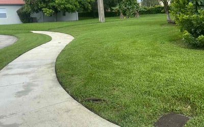 Photo of Pamela A.'s yard after getting lawn care in Homestead, FL