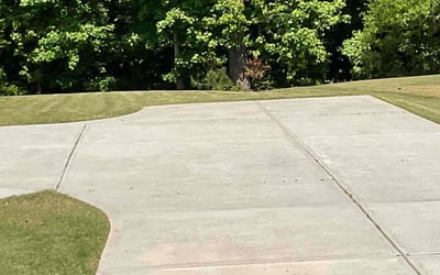 Photo of James L.'s yard after getting tree care in Locust Grove, GA