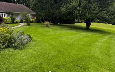 Photo of Barbara O.'s yard after getting lawn care in Spanaway, WA