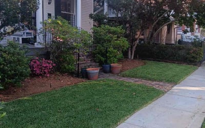 Photo of Cecily D.'s yard after getting lawn care in New Orleans, LA