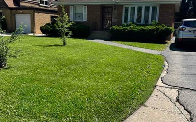 Photo of Jorge V.'s yard after getting lawn care in Middletown, PA