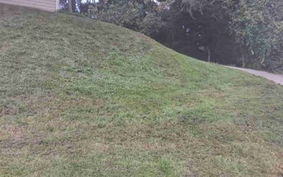 Photo of Nell F.'s yard after getting lawn care in Millbrook, AL
