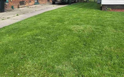 Photo of Kierra D.'s yard after getting lawn care in Missouri City, TX