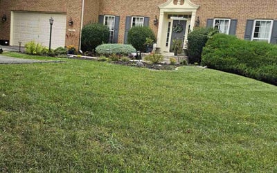 Photo of Shereece A.'s yard after getting lawn care in Clinton, MD