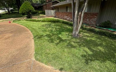 Photo of Michael C.'s yard after getting lawn care in Berlin, NJ