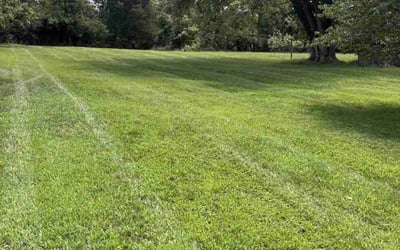 Photo of Grace S.'s yard after getting lawn care in Bristol, VA