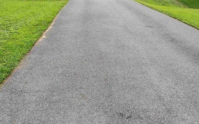 Photo of Tyler W.'s yard after getting lawn care in Tomball, TX