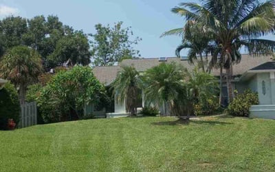 Photo of Sinem L.'s yard after getting lawn care in Titusville, FL