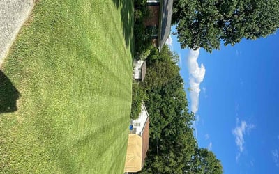 Photo of Jayson P.'s yard after getting lawn care in Gibsonville, NC